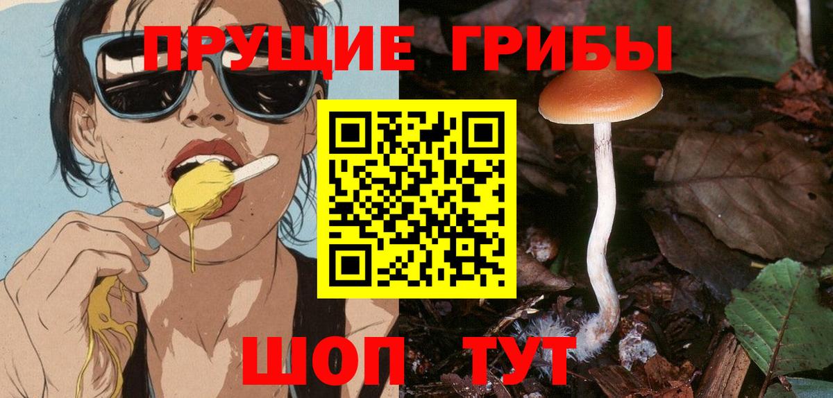 Галлюциногенные грибы MAGIC MUSHROOMS Советск